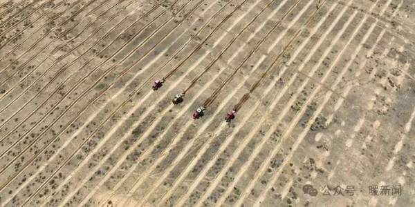 1755578920128493.jpg 8.jpg