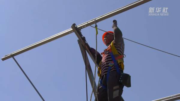 1755579266670752.png 11.png