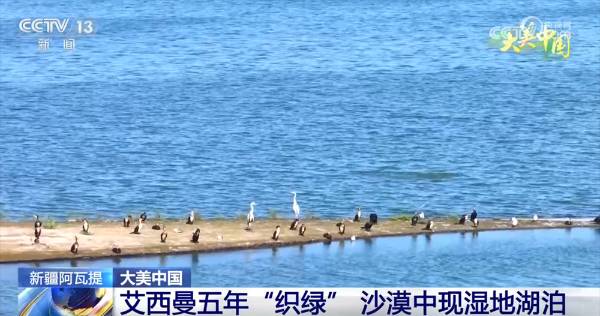 1755579394308615.png 14.png