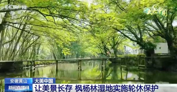 1755579536860240.png 15.png