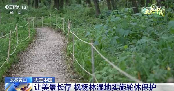 1755579626113057.jpg 16 (1).jpg