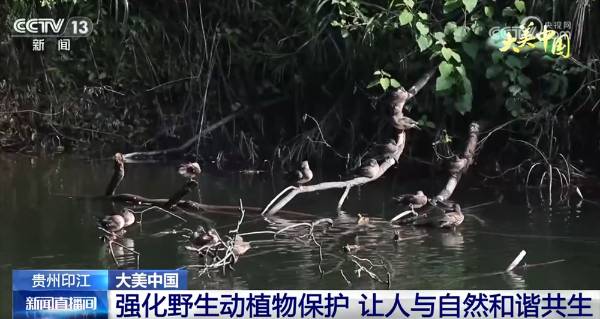 1755579664576876.jpg 18 (1).jpg