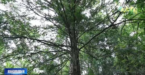 1755579674806979.jpg 19 (1).jpg