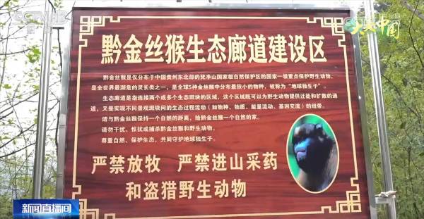 1755579695975652.jpg 24 (1).jpg