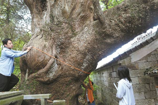 1755740816890306.jpg 3.jpg