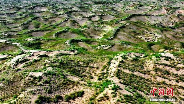 1755741173662511.jpeg 4.jpeg