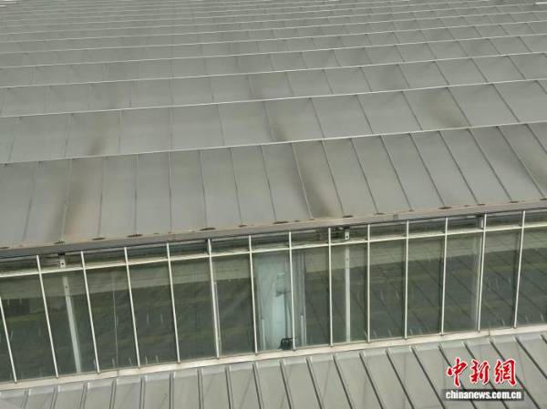 1755741350872583.jpg 5.jpg