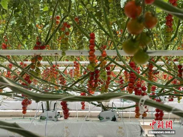 1755741361879516.jpg 6.jpg