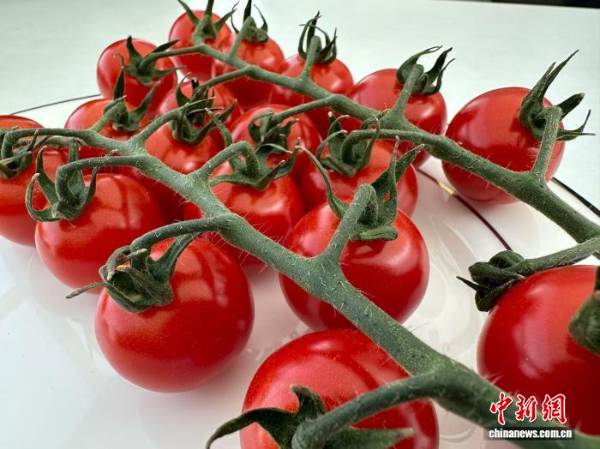 1755741369727913.jpg 7.jpg