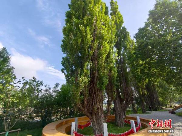 1755741426129085.jpg 8.jpg