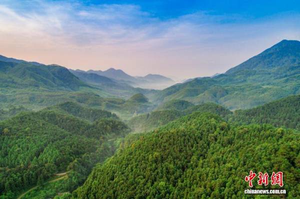 1755741553387374.jpg 9.jpg