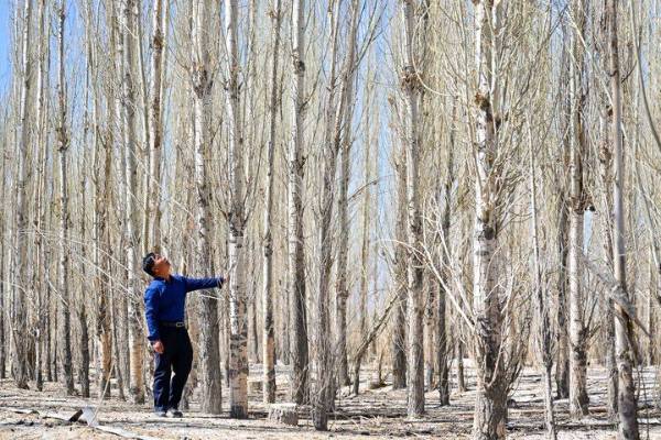 1755830880203328.jpeg 2.jpeg