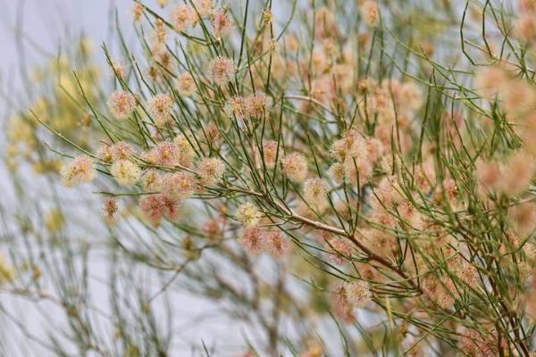 1755830895252270.jpeg 3.jpeg