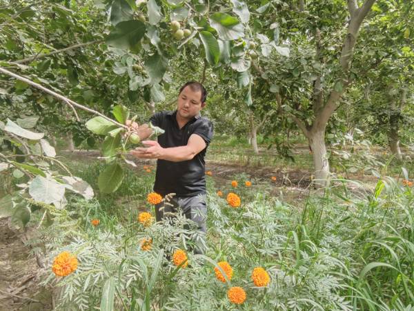 1755830914671933.png 4.png