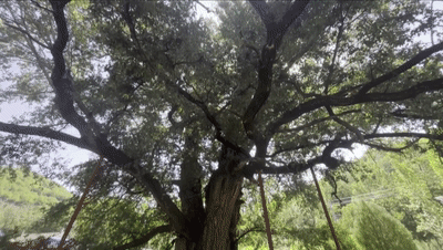 1755831760874871.gif 9.gif