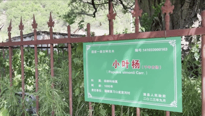 1755831768101277.gif 10.gif