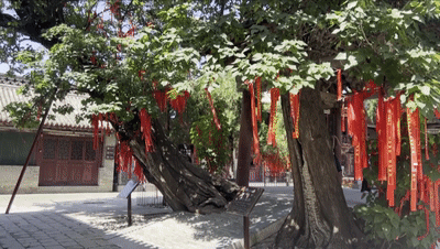 1755831775892676.gif 11.gif