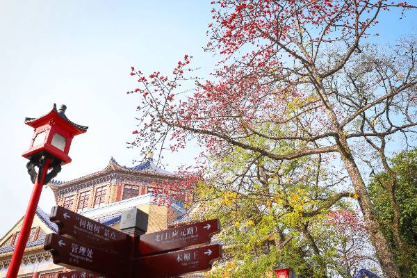 1755831908392435.jpg 12.jpg