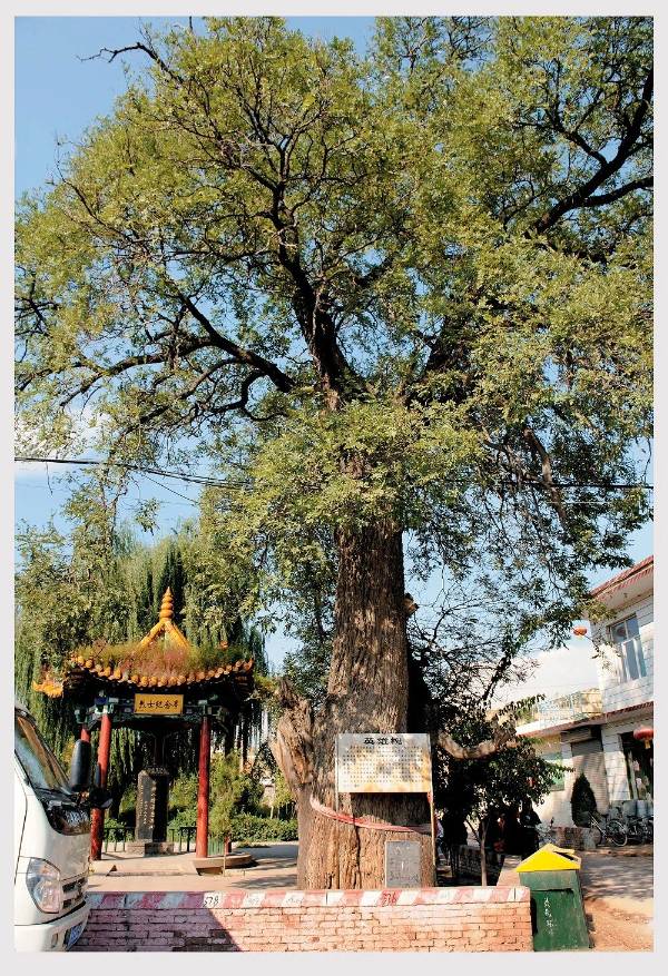 1755832320413466.jpg 1 (1).jpg