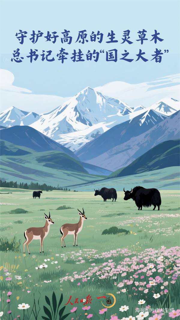 1756177698331794.jpg 1 (1).jpg