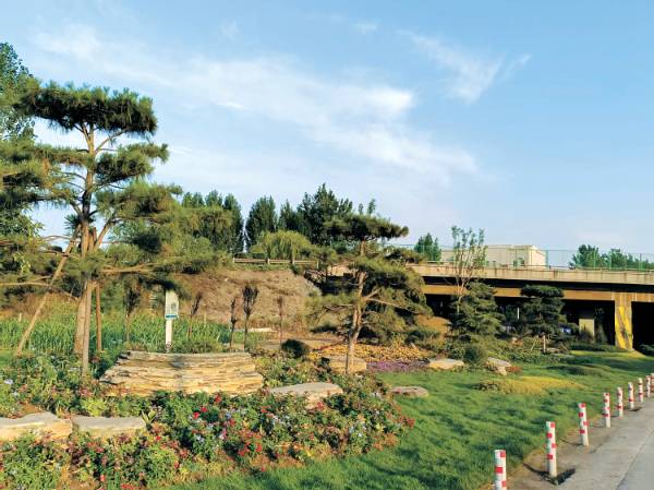 1756177961835873.jpg 2 (1).jpg