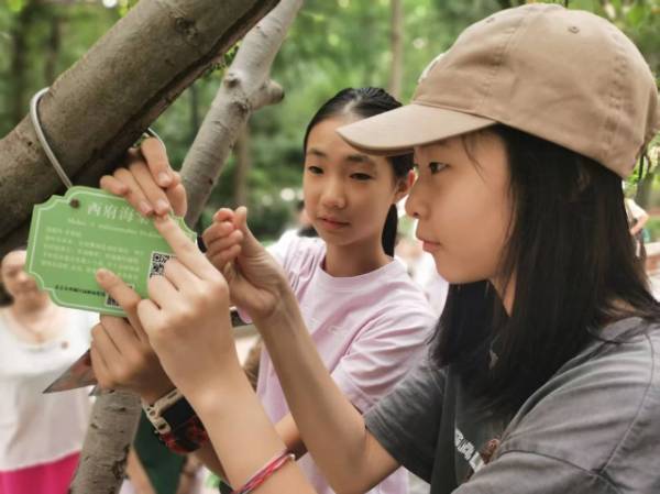 1756261665646145.jpg 4.jpg