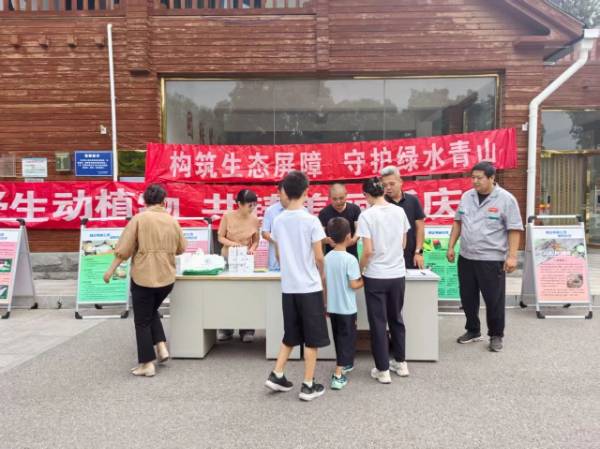 1756261763369060.jpg 15.jpg