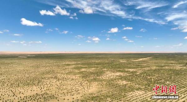 1756264085258009.jpg 1.jpg