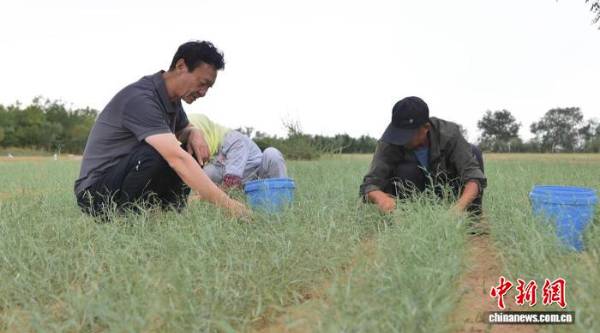 1756264104365676.jpg 2.jpg