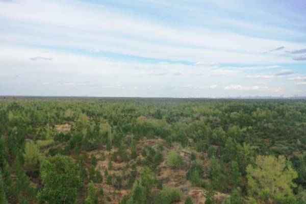 1756264436952923.jpg 4.jpg