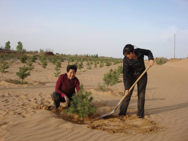 1756264467137109.jpg 7.jpg