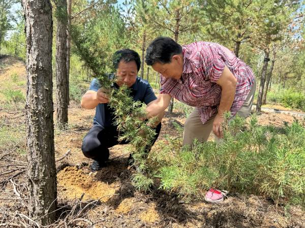 1756264481436369.png 9.png