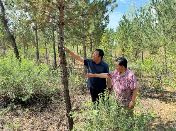 1756264491384590.png 10.png