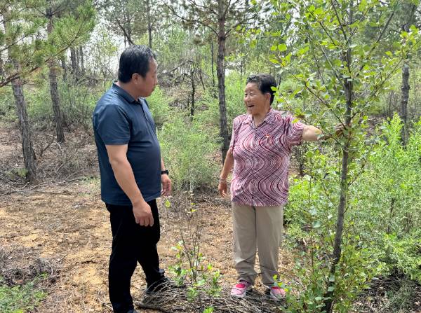 1756264500345272.png 11.png