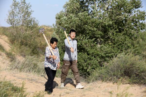 1756264533789881.png 12.png