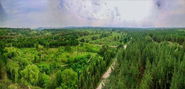 1756265557824863.jpg 1 (1).jpg