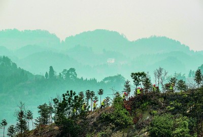 1756272674594122.jpg 1.jpg