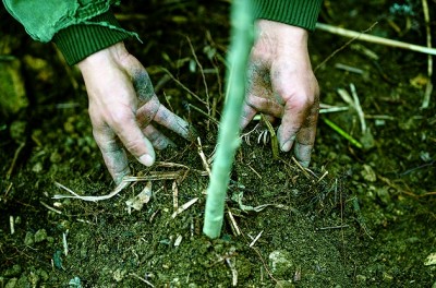 1756272680552162.jpg 2.jpg