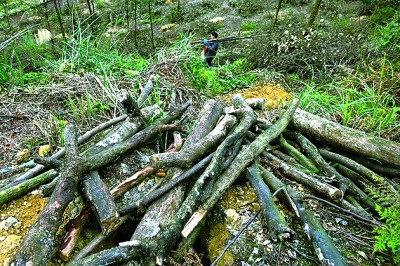 1756272696338686.jpg 4.jpg