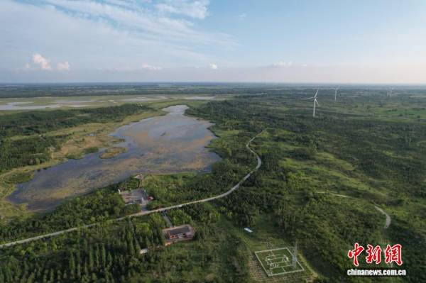 1756272853694699.jpg 2 (1).jpg