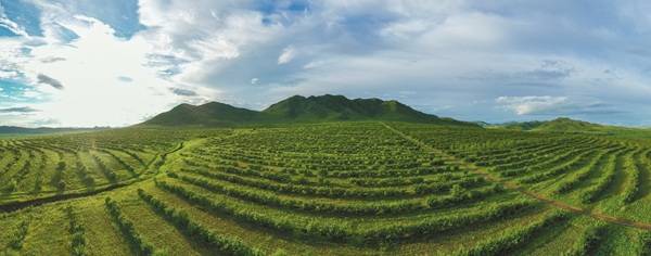 1756273132193298.jpg 3 (1).jpg