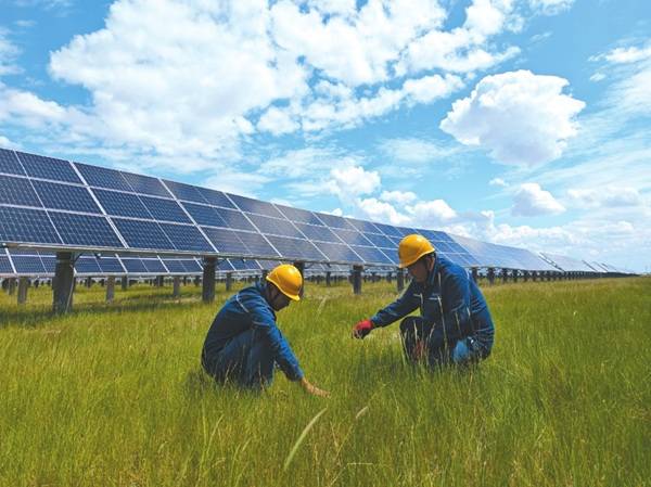 1756273138296900.jpg 4 (1).jpg