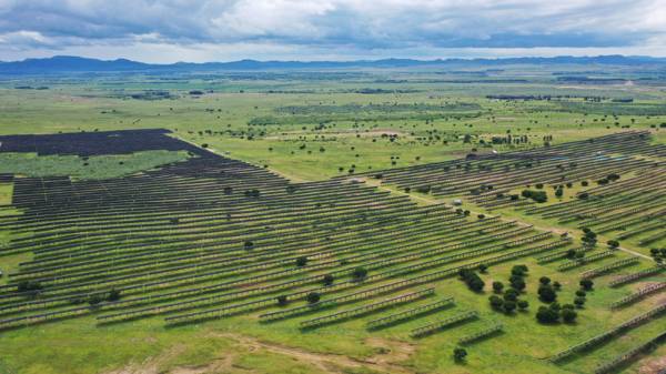 1756273404808268.jpg 1 (1).JPG