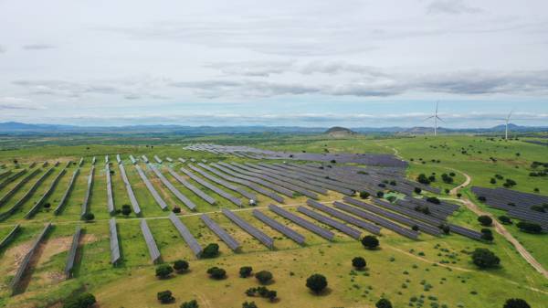 1756273410633340.jpg 2 (1).JPG