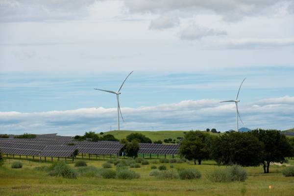 1756273416361449.jpg 3 (1).JPG