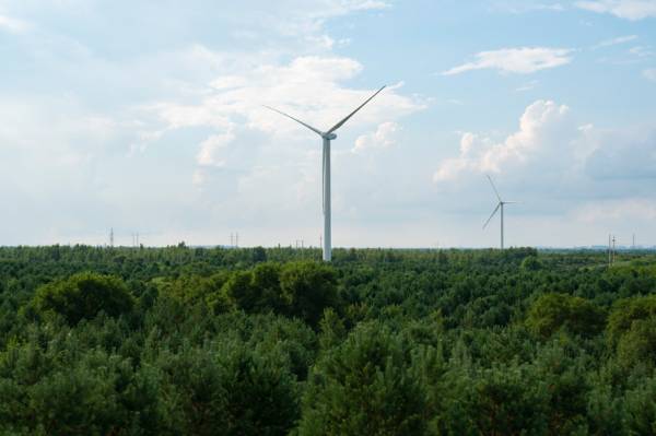 1756273422356711.jpg 4 (1).JPG