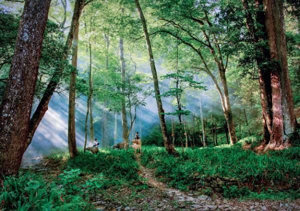 1756438631491683.jpg 10.jpg