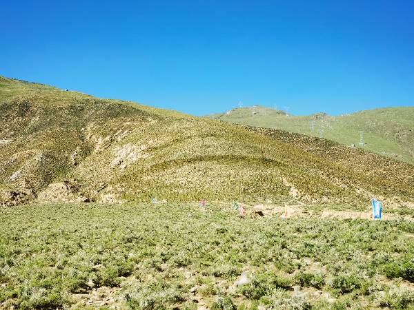 1756439402234844.jpg 2.jpg