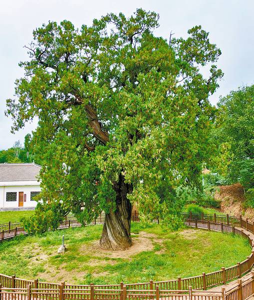 1756443730902238.png 13.png