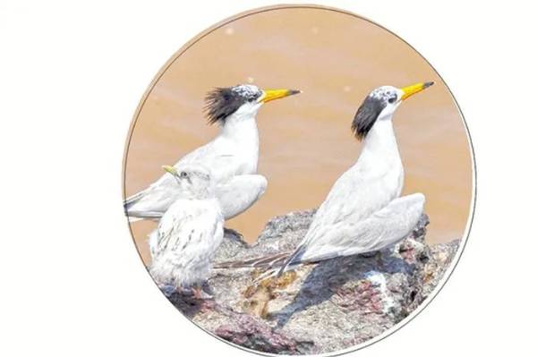 1756443901373267.jpg 16.jpg